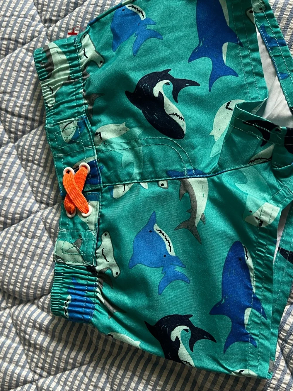 Cat & Jack Teal Shark Swim Shorts with Orange Drawstring